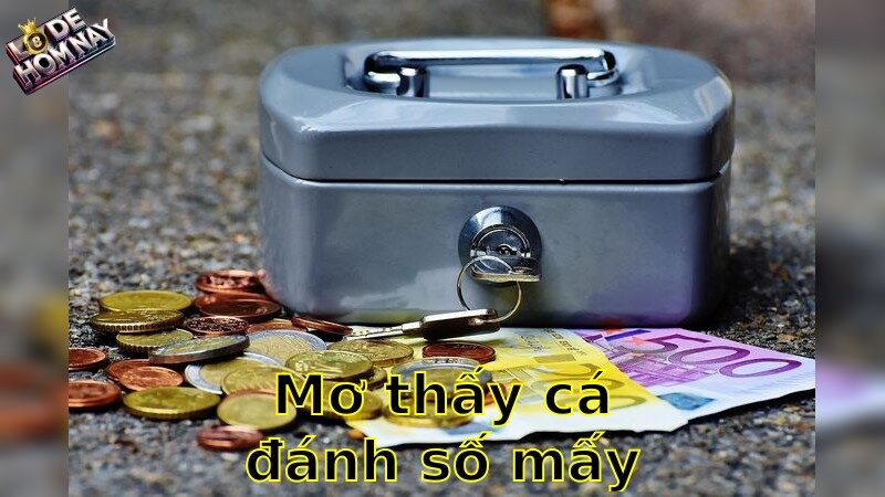 Mơ thấy cá đánh số mấy - Bí Quyết Chọn Số Thần Kỳ Từ Giấc Mơ 2025