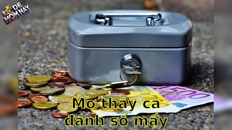 Mơ thấy cá đánh số mấy – Bí Quyết Chọn Số Thần Kỳ Từ Giấc Mơ 2025